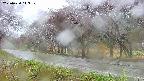 takano5-20250430143111.jpg