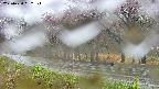 takano5-20250430152109.jpg