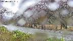 takano5-20250430162110.jpg