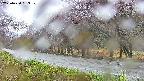 takano5-20250430163110.jpg