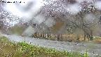 takano5-20250430164111.jpg