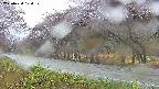 takano5-20250430170111.jpg