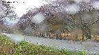 takano5-20250430171112.jpg