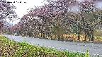 takano5-20250430174113.jpg