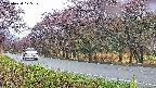 takano5-20250430175115.jpg
