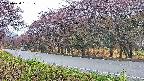 takano5-20250430181112.jpg