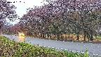 takano5-20250430182113.jpg