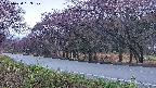 takano5-20250430183113.jpg