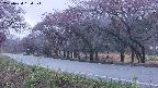 takano5-20250430184110.jpg