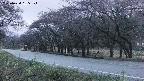 takano5-20250430185110.jpg