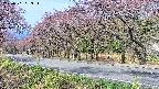 takano5-20250501083114.jpg