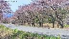 takano5-20250501100114.jpg