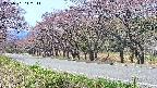 takano5-20250501112112.jpg