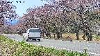 takano5-20250501113115.jpg