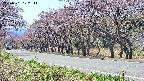 takano5-20250501122113.jpg