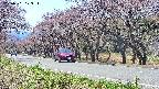 takano5-20250501123113.jpg