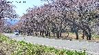 takano5-20250501124113.jpg