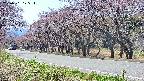 takano5-20250501125113.jpg