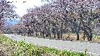 takano5-20250501131111.jpg