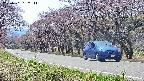 takano5-20250501132113.jpg