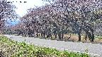 takano5-20250501133116.jpg