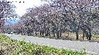 takano5-20250501134114.jpg