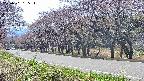 takano5-20250501135113.jpg