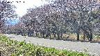 takano5-20250501142114.jpg