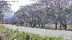 takano5-20250501144113.jpg