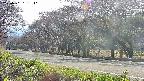 takano5-20250501161111.jpg