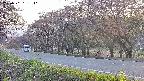 takano5-20250501181111.jpg