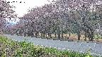 takano5-20250502050111.jpg