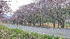 takano5-20250502051110.jpg