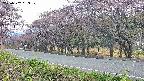takano5-20250502053110.jpg