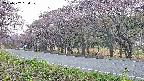 takano5-20250502054110.jpg