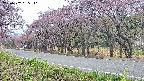 takano5-20250502055111.jpg