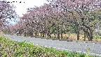 takano5-20250502060110.jpg