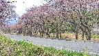 takano5-20250502061110.jpg