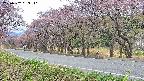 takano5-20250502063111.jpg