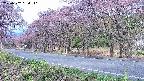 takano5-20250502064111.jpg
