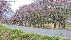 takano5-20250502065109.jpg