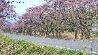 takano5-20250502070110.jpg