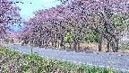 takano5-20250502071111.jpg