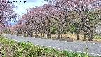 takano5-20250502072112.jpg