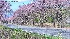 takano5-20250502073112.jpg