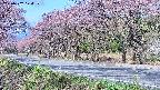 takano5-20250502074110.jpg