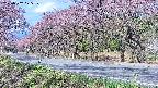 takano5-20250502075110.jpg