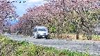 takano5-20250502080112.jpg