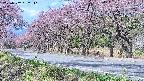 takano5-20250502082111.jpg