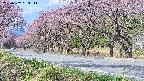 takano5-20250502083112.jpg
